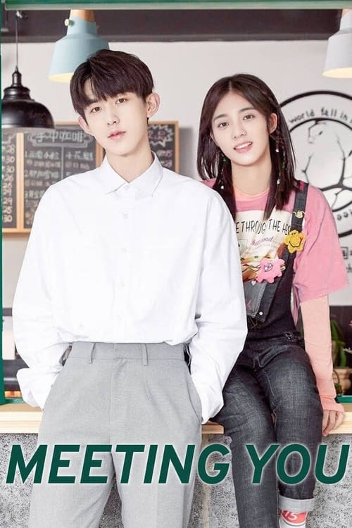 Meeting You S01 [C-Drama] In Hindi Dubbed [Complete All Episode] 480p | 720p