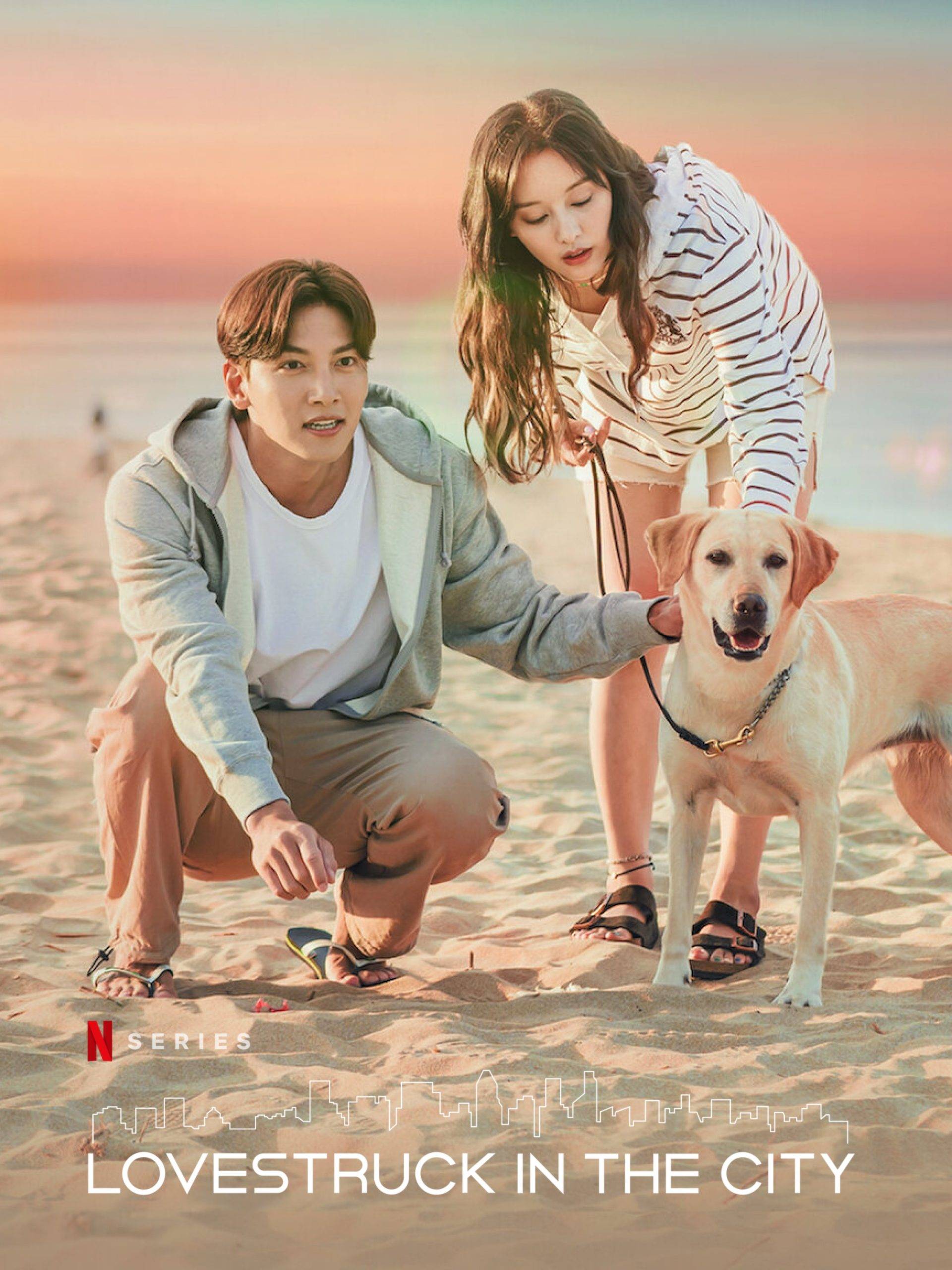 Lovestruck in the City (Season 1) Korean With ENGLISH-HINDI-URDU Subtitles WeB-DL 720p