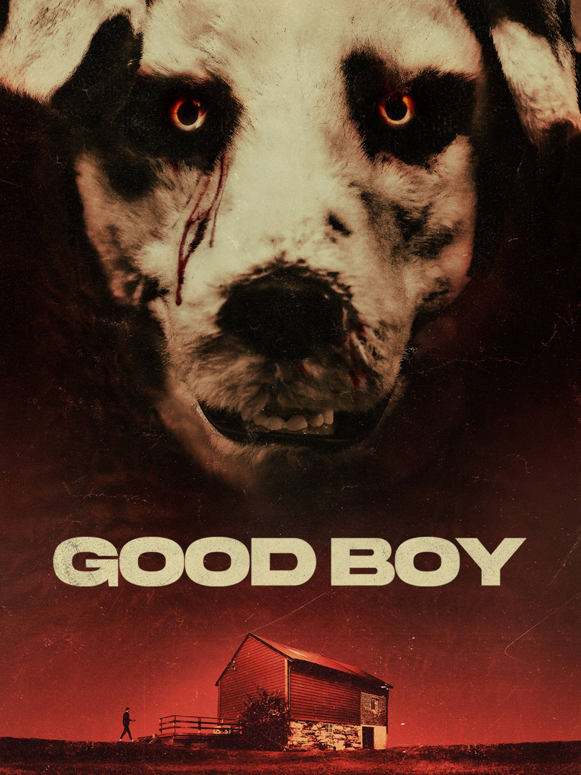 Good Boy (2022) Dual Audio {Hindi-Norwegian} Esub BluRay 480p | 720p 10bit | 720p | 1080p 10bit | 1080p