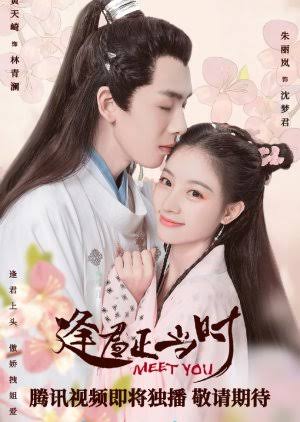 Meet You (2021) S01 [C-Drama] In Hindi Dubbed WEB-DL ESub [Complete All Episode] 480p | 720p | 1080p