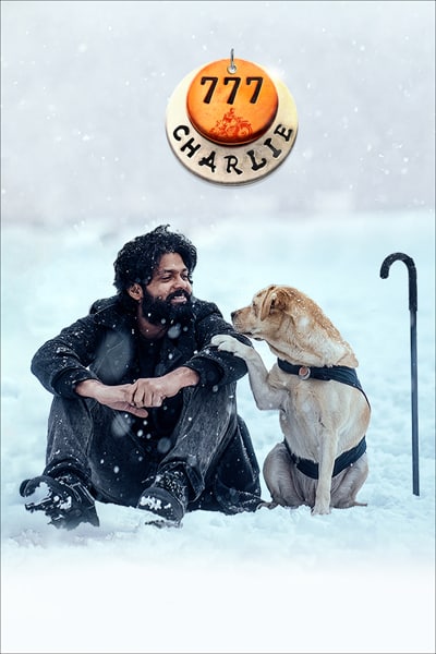 777 Charlie (2022) Dual Audio {Hindi-Kannada} Movie WEB-DL Esub 480p | 720p 10bit | 720p | 1080p
