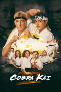 Cobra Kai (2018) [S06] NETFLIX Dual Audio [Hindi (DDP2.0) & English] WEB-DL ESub 480p | 720p | 1080p