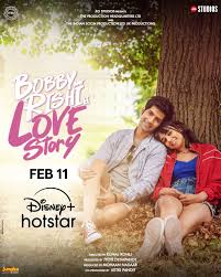 Bobby Aur Rishi Ki Love Story (2025) Hindi Movie HS WEB-DL ESub 480p | 720p | 1080p