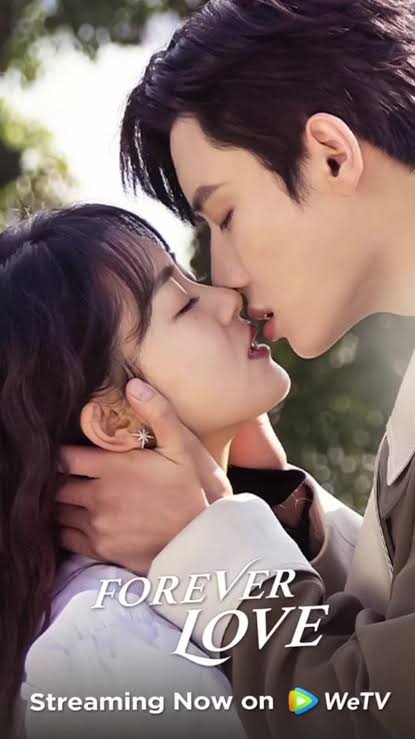 Forever Love S01 [C-Drama] In Chinese With ENGLISH-HINDI-URDU Subtitles [Complete All Episodes] 720p