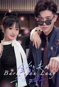 Stupid Lady & Blind CEO (2024) S01 [C-Drama] In Hindi UnOfficial Dubbed WEB-DL [Complete All Episode] 480p | 720p | 1080p