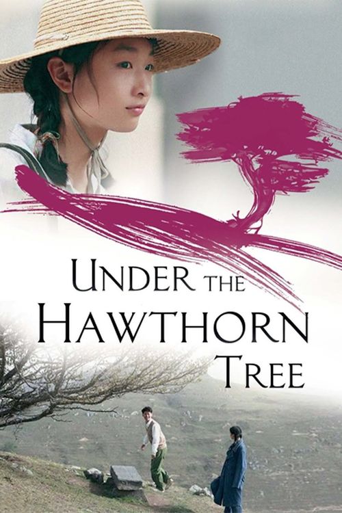 Under the Hawthorn Tree (2010) Chinese With ENGLISH Subtitles Movie BluRay 480p | 720p