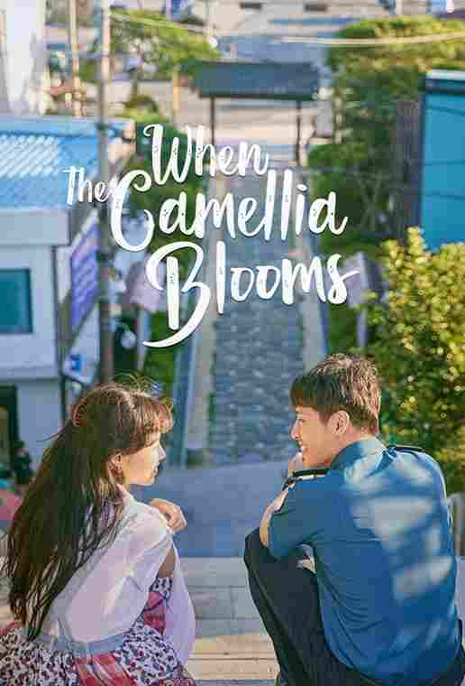When the Camellia Blooms (2019) S01 [K-Drama] Korean With English Subtitles [Complete All Episode] 720p 10bit | 720p | 1080p