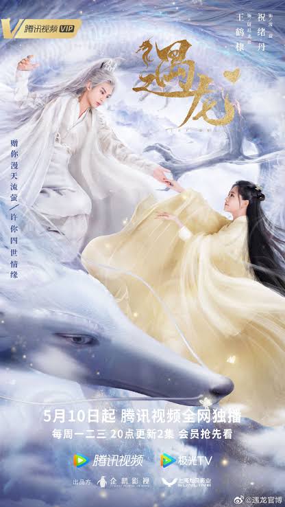 Miss the Dragon (2021) S01 [C-Drama] Chinese Audio With English Subtitles [Complete All Episode] 540p