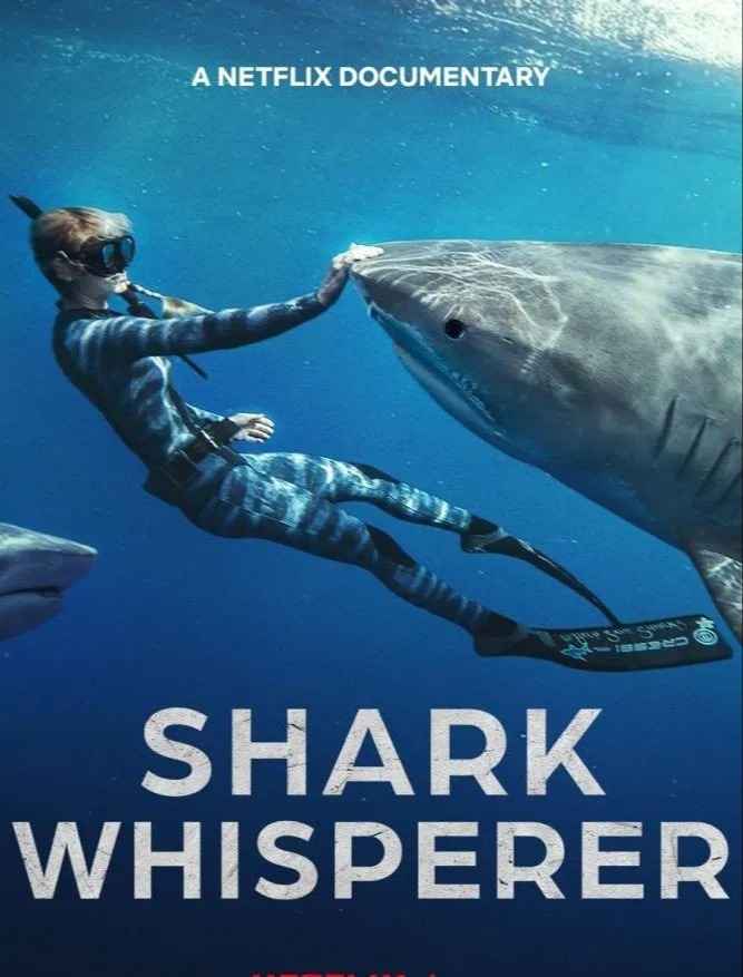 Shark Whisperer (2025) NETFLIX Dual Audio {Hindi-English} Documentary Movie WEB-DL ESub 480p | 720p | 1080p