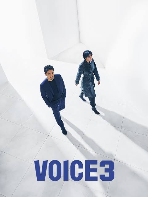 Voice (2019) S03 [K-Drama] Korean Audio With English Subtitles [Complete All Episode] 540p | 720p | 1080p