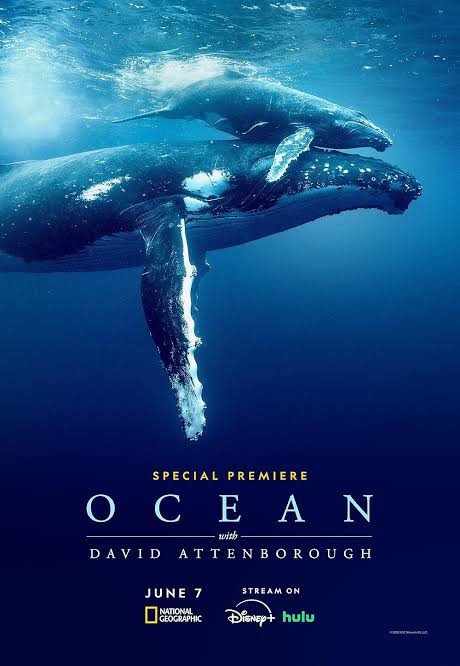 Ocean with David Attenborough (2025) JIOHS Multi Audio {Hindi-English-Tamil-Telugu} Movie WEB-DL ESub 720p | 1080p