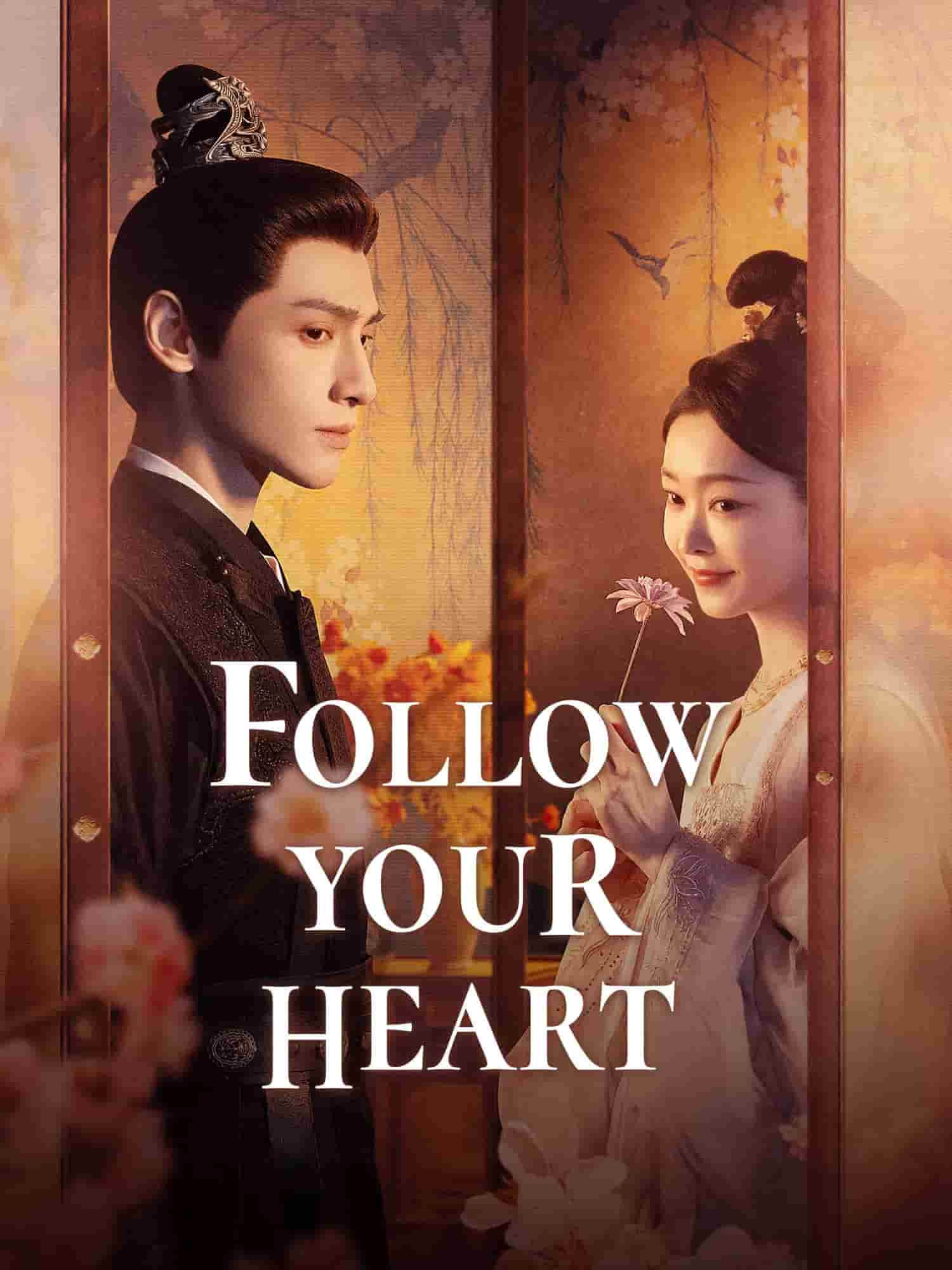 Follow Your Heart (2024) S01 [C-Drama] Chinese Audio With Hindi-English-Urdu Subtitles [Complete All Episode] 540p
