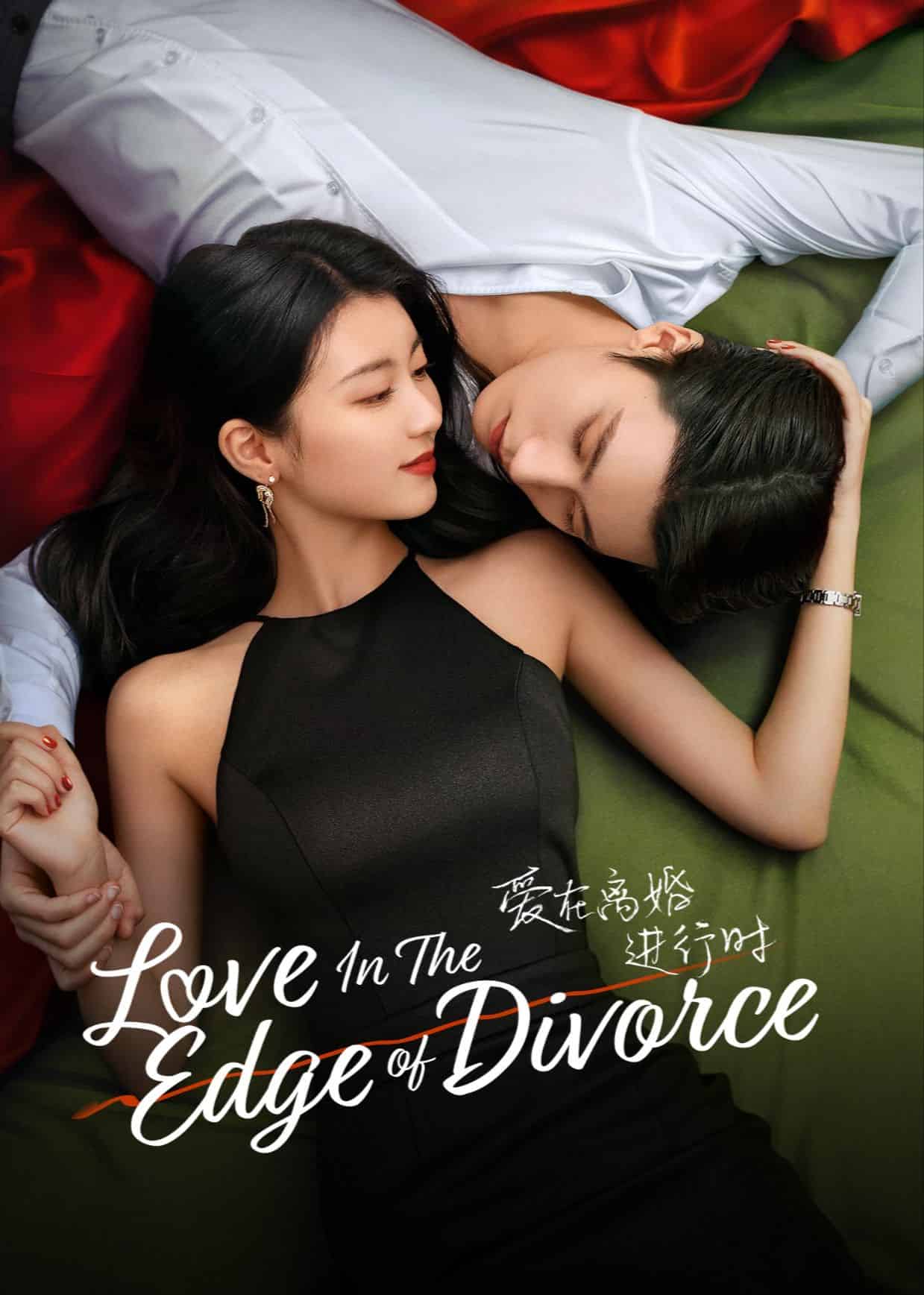 Love In The Edge Of Divorce (2025) S01 [C-Drama] [Chinese With Hindi-English-Urdu Subtitles] WeTv WEB-DL [Complete All Episode] 1080p